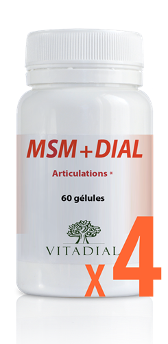 MSM + DIAL X4