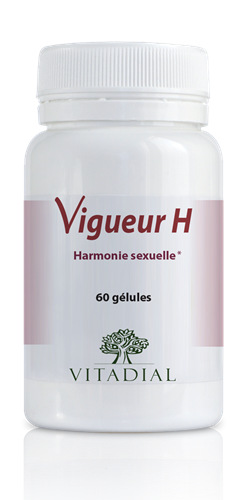 VIGUEUR H 60 gélules