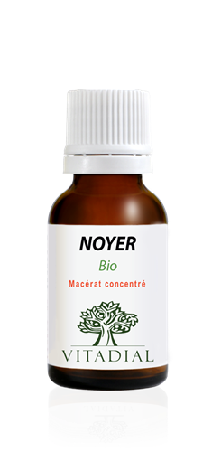 NOYER Bio | Macérât de bourgeons