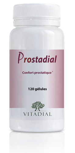 PROSTADIAL 120 gélules