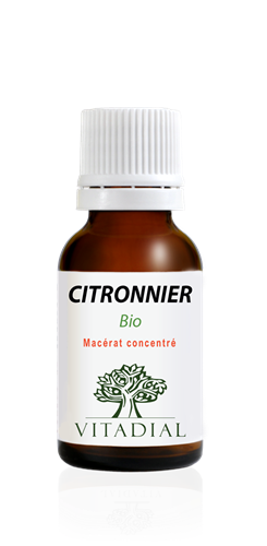 CITRONNIER Bio 15 ml