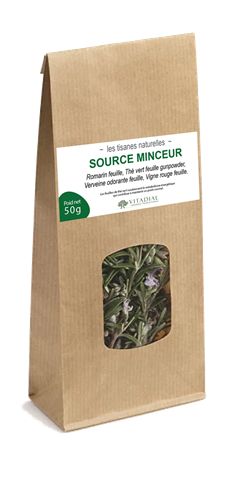 TISANE SOURCE MINCEUR 50g