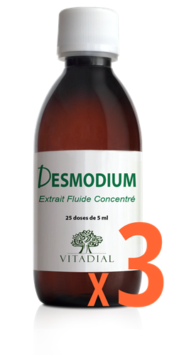 DESMODIUM LIQUIDE X3