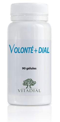 VOLONTE + DIAL 90 gélules