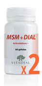 MSM + DIAL X2