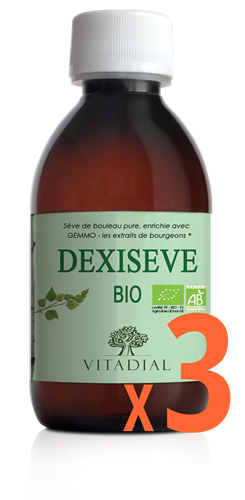 DEXISEVE X3